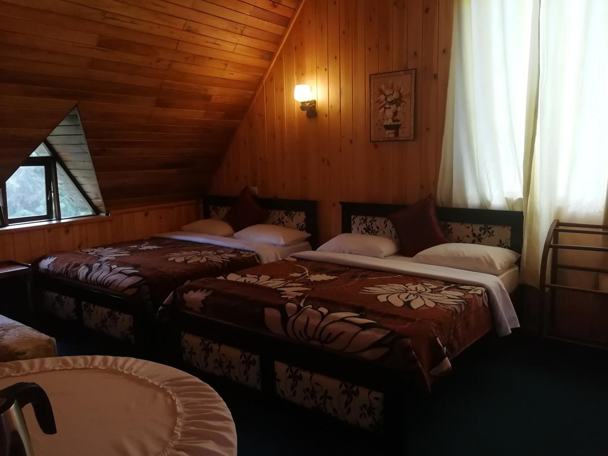 נוארה אליה New Tour Inn מראה חיצוני תמונה